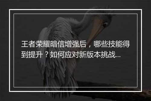 王者荣耀暗信增强后，哪些技能得到提升？如何应对新版本挑战？