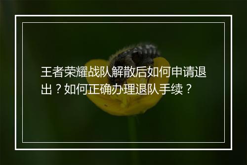 王者荣耀战队解散后如何申请退出？如何正确办理退队手续？
