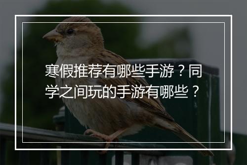 寒假推荐有哪些手游？同学之间玩的手游有哪些？