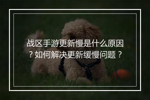战区手游更新慢是什么原因?如何解决更新缓慢问题?