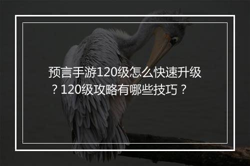 预言手游120级怎么快速升级?120级攻略有哪些技巧?