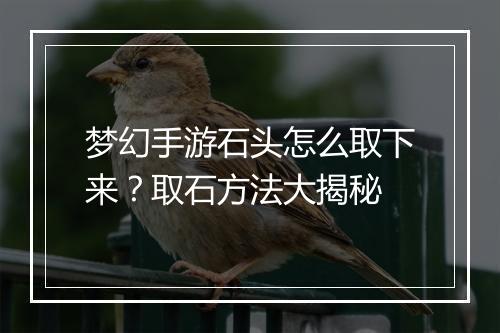 梦幻手游石头怎么取下来?取石方法大揭秘