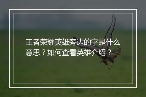 王者荣耀英雄旁边的字是什么意思?如何查看英雄介绍?