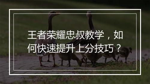 王者荣耀忠叔教学,如何快速提升上分技巧?