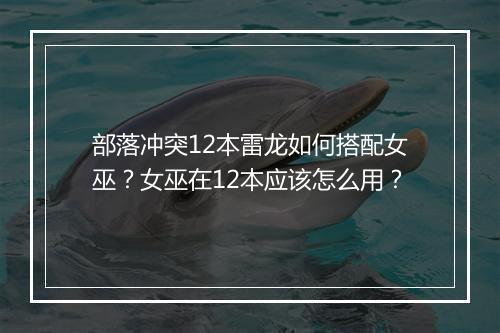 部落冲突12本雷龙如何搭配女巫?女巫在12本应该怎么用?