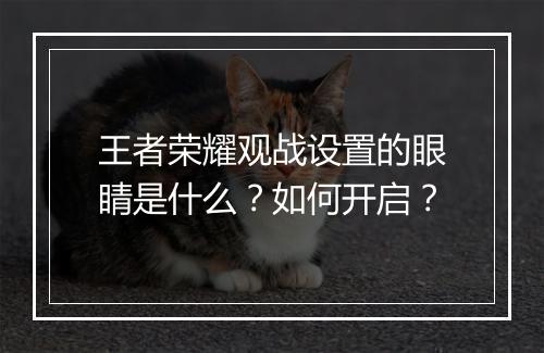 王者荣耀观战设置的眼睛是什么?如何开启?