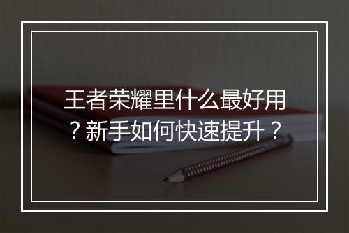 王者荣耀里什么最好用?新手如何快速提升?