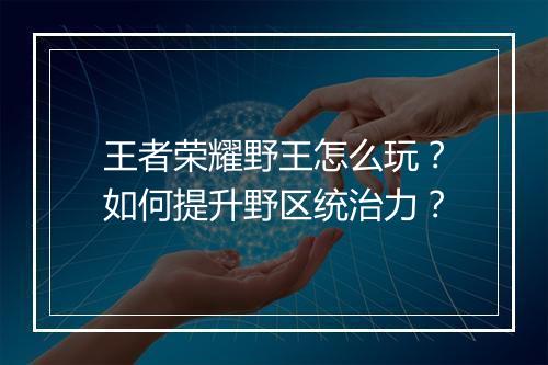 王者荣耀野王怎么玩?如何提升野区统治力?