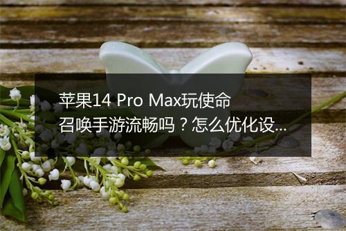 苹果14 Pro Max玩使命召唤手游流畅吗?怎么优化设置?