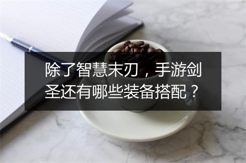 除了智慧末刃,手游剑圣还有哪些装备搭配?