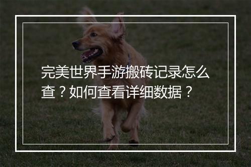 完美世界手游搬砖记录怎么查?如何查看详细数据?