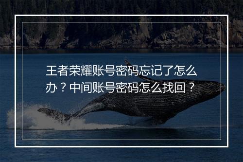 王者荣耀账号密码忘记了怎么办?中间账号密码怎么找回?