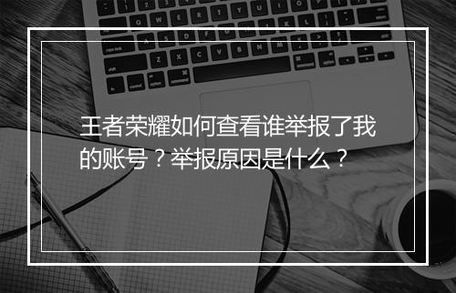 王者荣耀如何查看谁举报了我的账号?举报原因是什么?