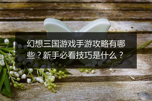 幻想三国游戏手游攻略有哪些?新手必看技巧是什么?