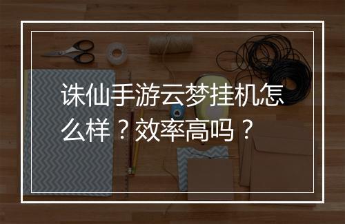 诛仙手游云梦挂机怎么样？效率高吗？