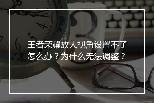 王者荣耀放大视角设置不了怎么办?为什么无法调整?