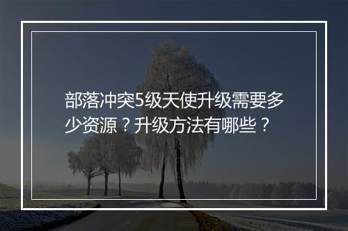 部落冲突5级天使升级需要多少资源?升级方法有哪些?