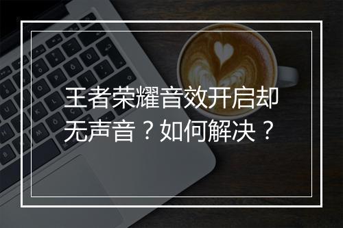 王者荣耀音效开启却无声音?如何解决?
