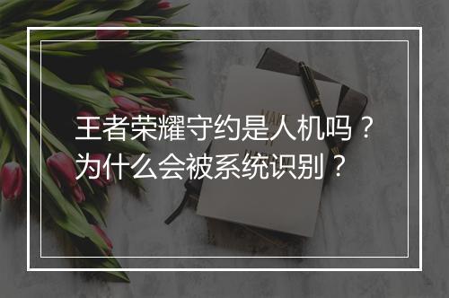 王者荣耀守约是人机吗？为什么会被系统识别？