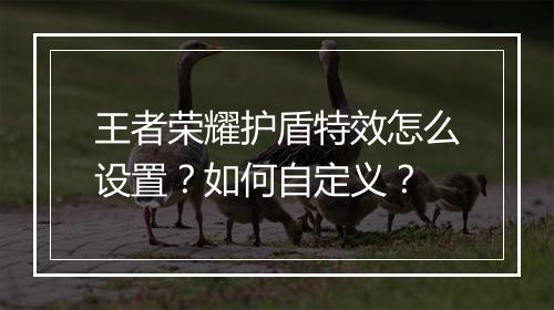 王者荣耀护盾特效怎么设置?如何自定义?