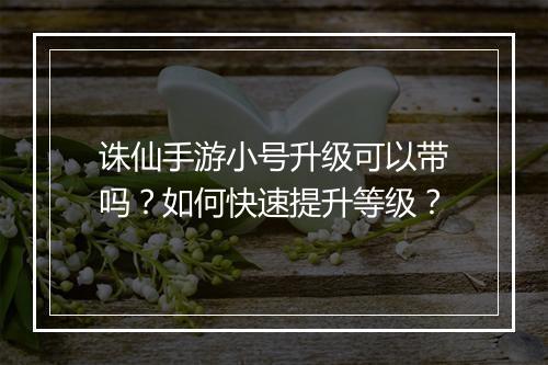诛仙手游小号升级可以带吗?如何快速提升等级?