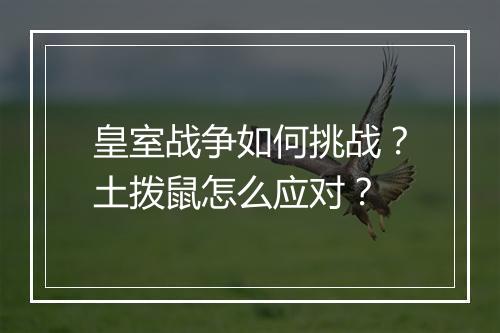 皇室战争如何挑战?土拨鼠怎么应对?