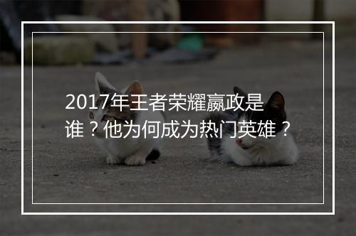 2017年王者荣耀嬴政是谁?他为何成为热门英雄?