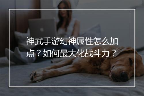 神武手游幻神属性怎么加点?如何最大化战斗力?
