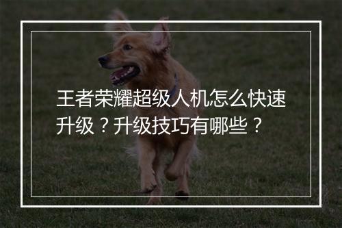 王者荣耀超级人机怎么快速升级?升级技巧有哪些?