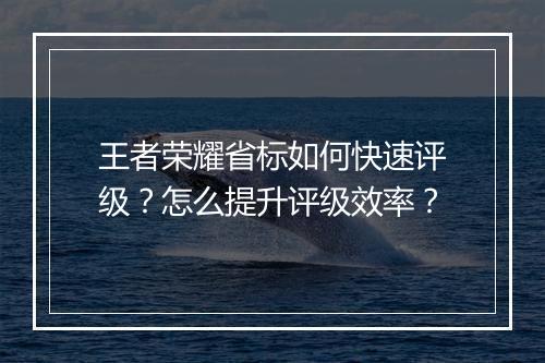 王者荣耀省标如何快速评级?怎么提升评级效率?