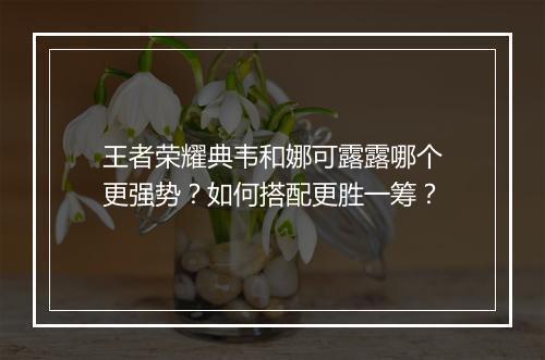 王者荣耀典韦和娜可露露哪个更强势?如何搭配更胜一筹?