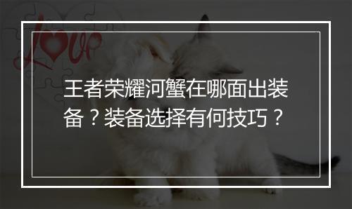 王者荣耀河蟹在哪面出装备?装备选择有何技巧?