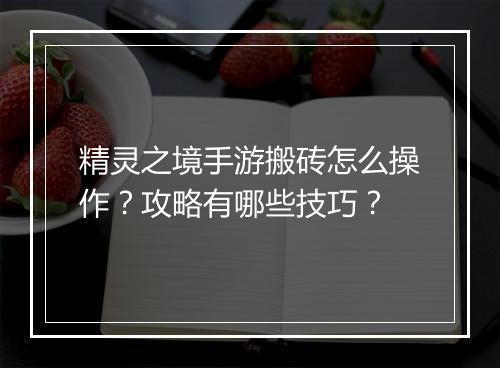 精灵之境手游搬砖怎么操作？攻略有哪些技巧？