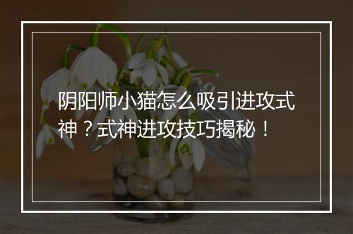 阴阳师小猫怎么吸引进攻式神？式神进攻技巧揭秘！