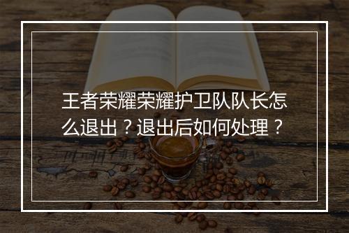 王者荣耀荣耀护卫队队长怎么退出?退出后如何处理?