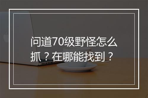 问道70级野怪怎么抓？在哪能找到？