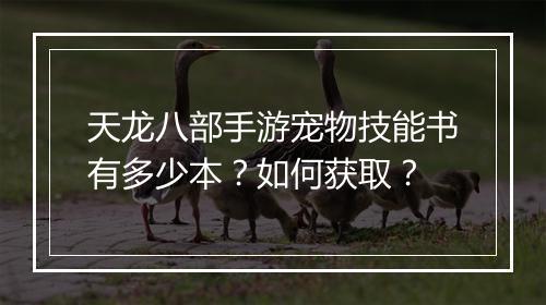 天龙八部手游宠物技能书有多少本?如何获取?