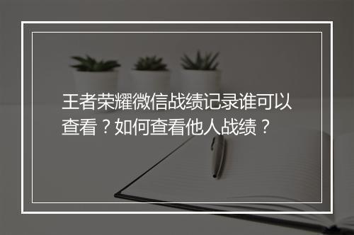 王者荣耀微信战绩记录谁可以查看?如何查看他人战绩?