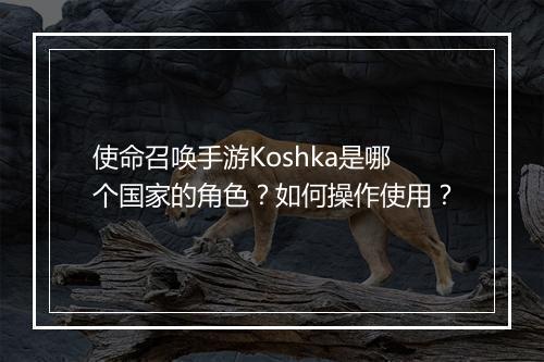 使命召唤手游Koshka是哪个国家的角色?如何操作使用?
