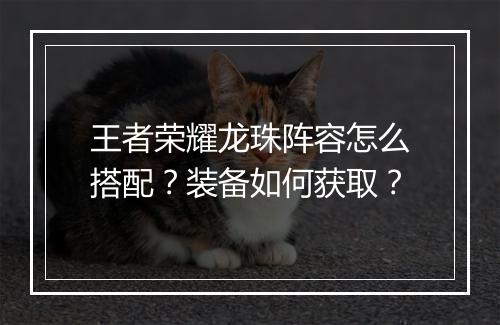 王者荣耀龙珠阵容怎么搭配？装备如何获取？