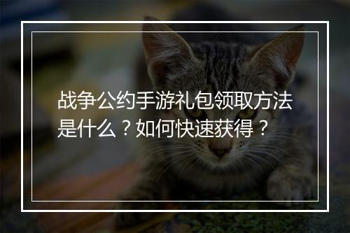 战争公约手游礼包领取方法是什么?如何快速获得?