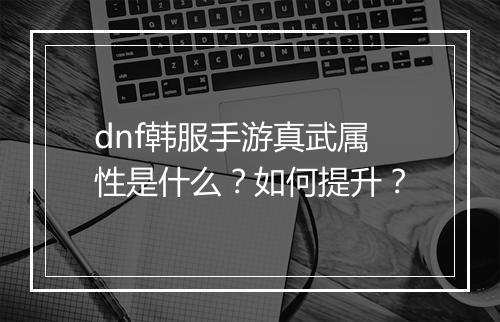 dnf韩服手游真武属性是什么?如何提升?