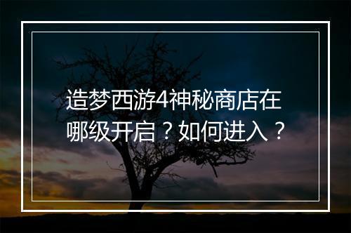 造梦西游4神秘商店在哪级开启?如何进入?