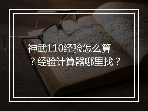神武110经验怎么算?经验计算器哪里找?