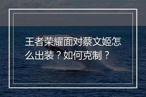 王者荣耀面对蔡文姬怎么出装?如何克制?