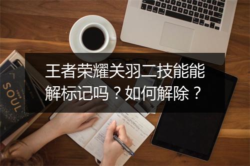 王者荣耀关羽二技能能解标记吗?如何解除?
