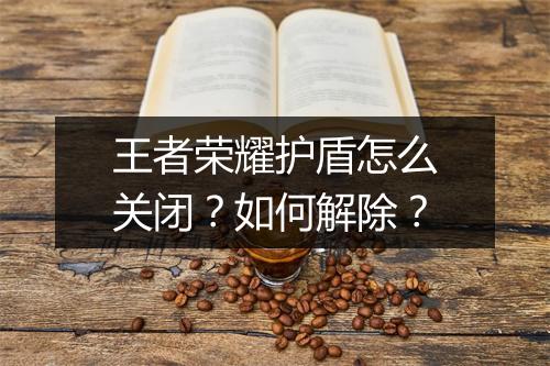 王者荣耀护盾怎么关闭?如何解除?