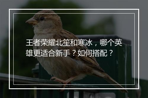 王者荣耀北笙和寒冰,哪个英雄更适合新手?如何搭配?