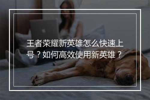 王者荣耀新英雄怎么快速上号?如何高效使用新英雄?
