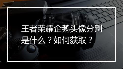 王者荣耀企鹅头像分别是什么?如何获取?